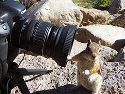 Squirrel Selfie Jon Hyde web