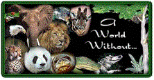A World Without...