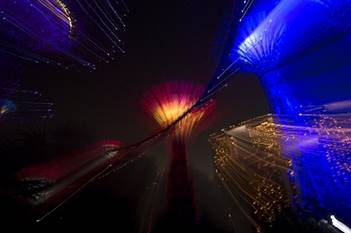 HydeSultze-Supertrees8-Singapore-RomeItaly